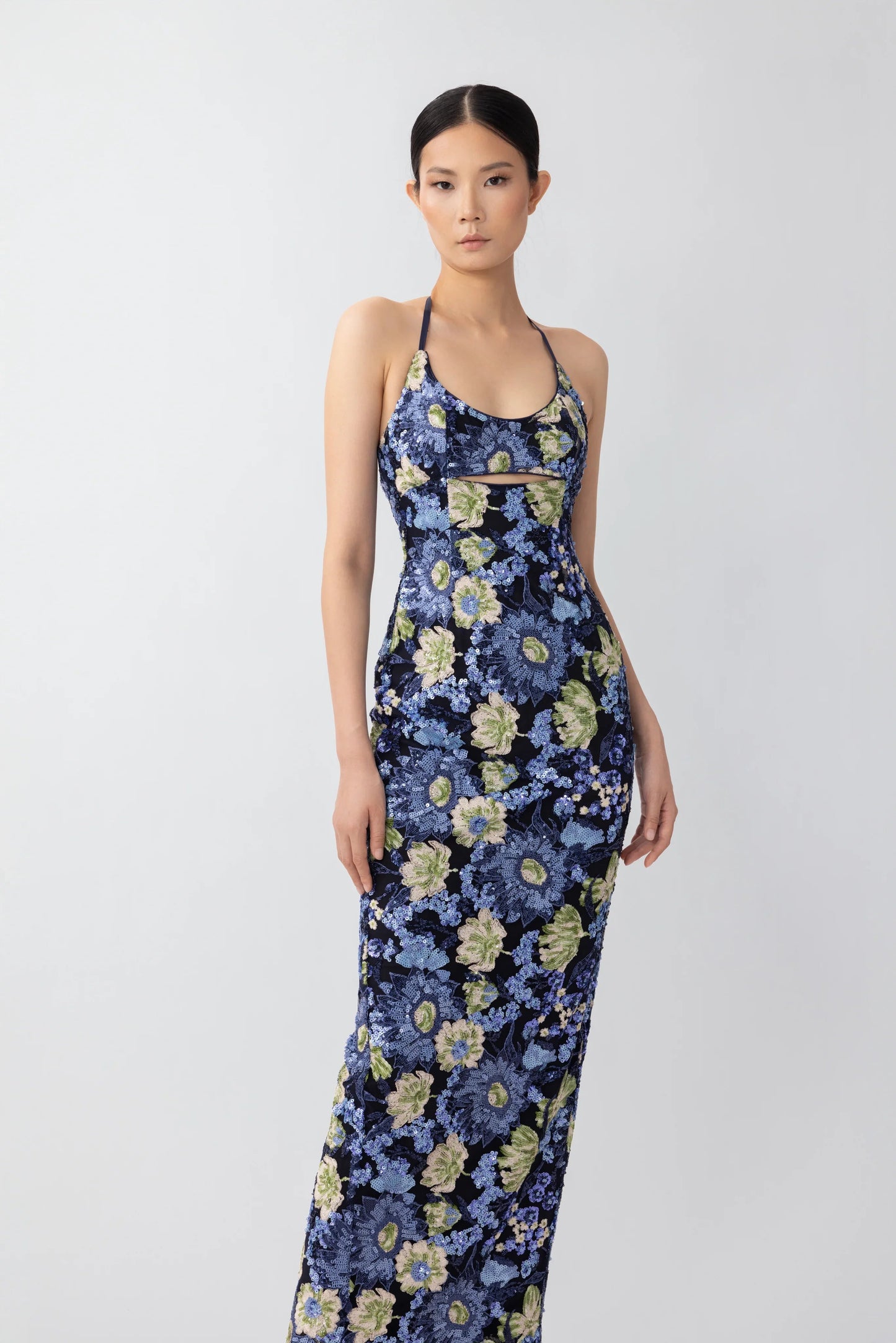 Sandra Embellished Dress