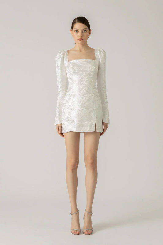 Jen Chinese Jacquard Mini Dress
