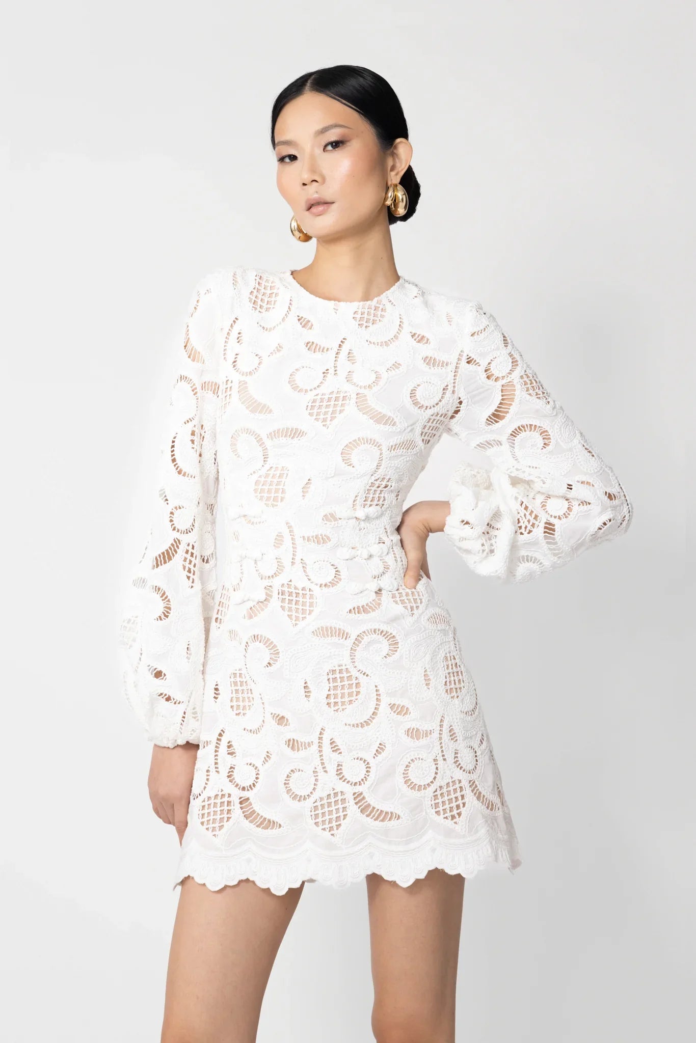Hilda Embroidered Lace Dress