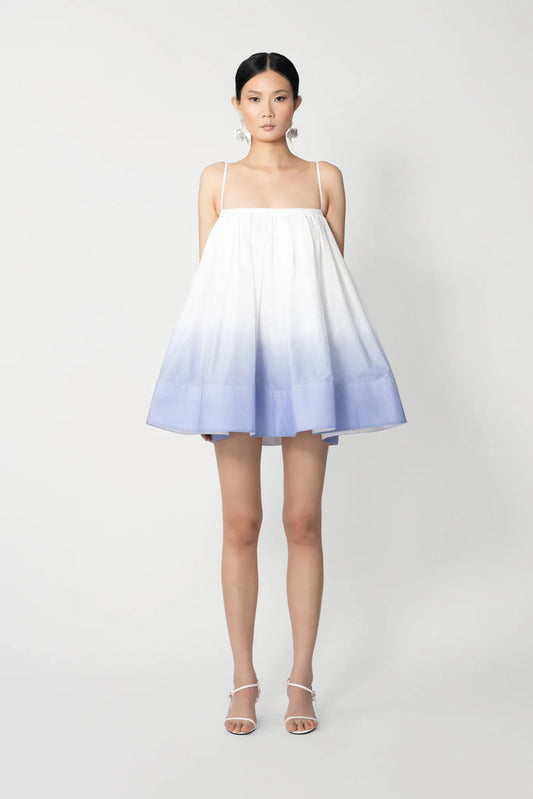 Havana Mini Dress