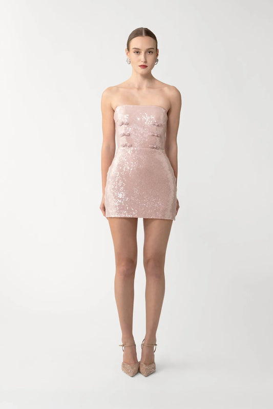 Cindy Sequined Mini Dress