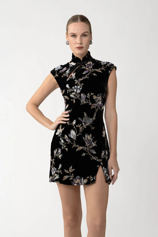 Devon Velvet Mini Dress
