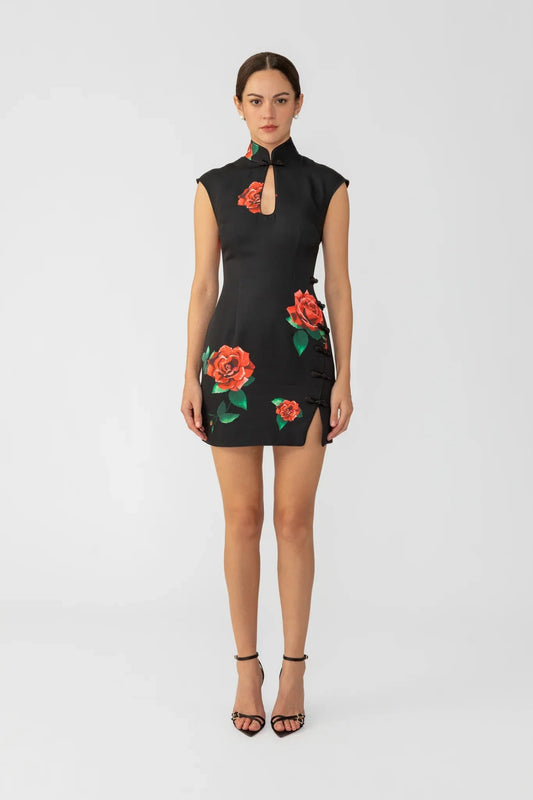 Raya Rosa Mini Dress