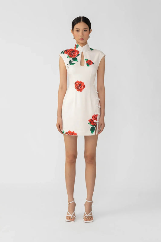 Raya Rosa Mini Dress