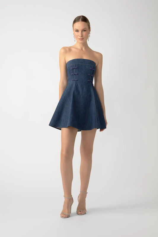 Tai Denim Mini Dress